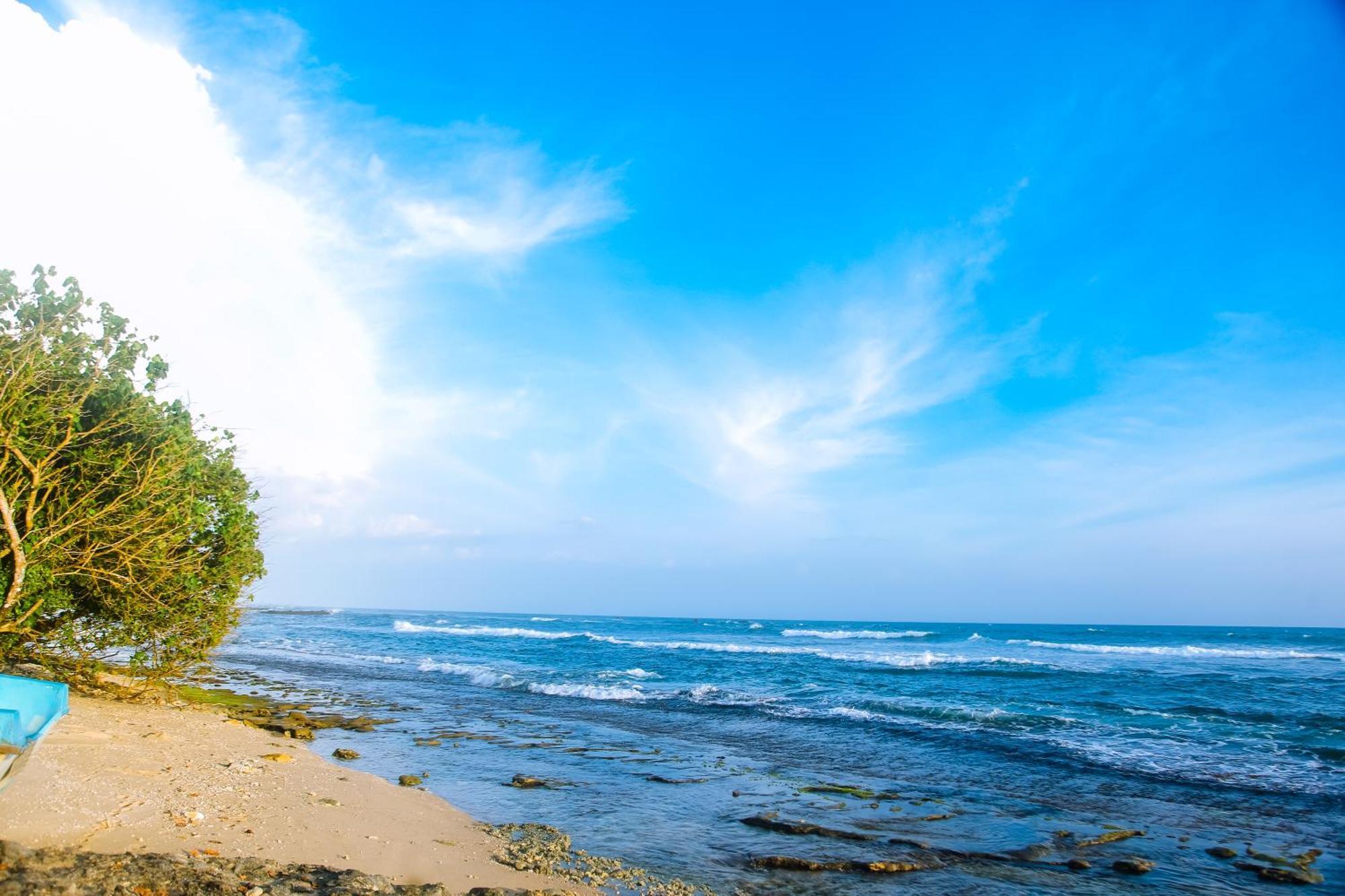 Готель Mirissa Turtle Point Guest Екстер'єр фото