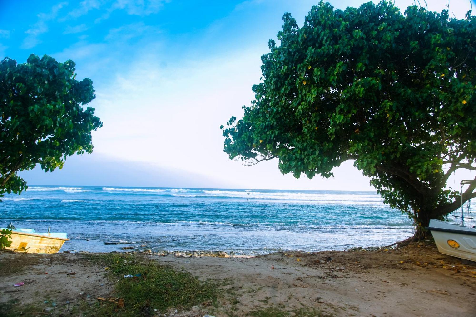 Готель Mirissa Turtle Point Guest Екстер'єр фото